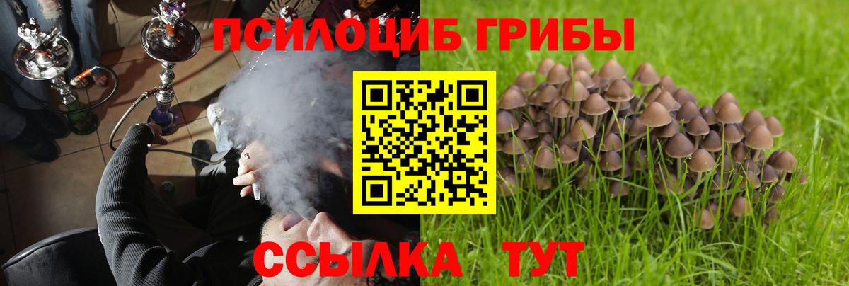 Узловая  Галлюциногенные грибы мицелий  Вход с VPN  Галлюциногенные грибы Cubensis 