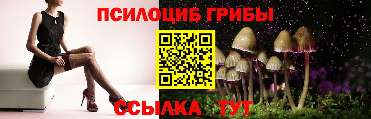 Галлюциногенные грибы мицелий Узловая